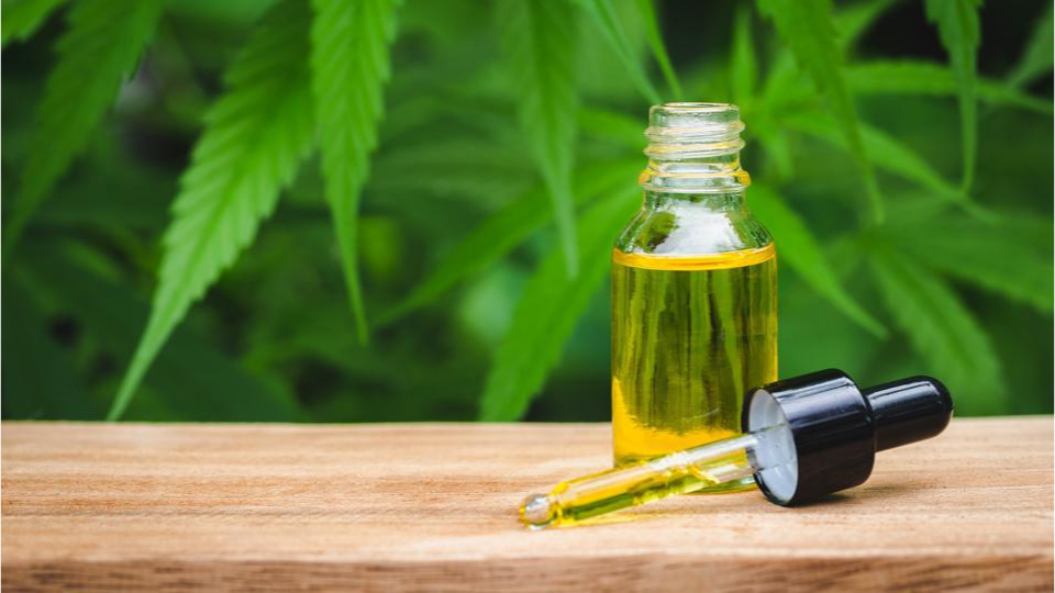 A Guide to Crafting Powerful Blends of CBD and Essential oils