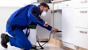 Keeping Your Home or Business Safe with Professional Pest Control Services