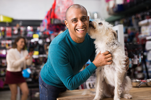 Go Shopping! The Best Places to Buy Pet Supplies in Canada