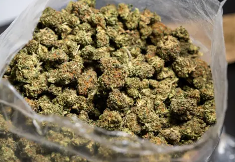 Get Substantial-Top quality Marijuana Transported to Your Front door with Buy weed online