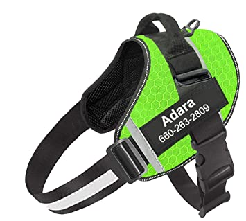 How To Get The Best From Your No Pull Dog Harness: Guidelines For Suitable Use