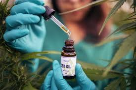 What is the Distinction Between CBD Oil and Hemp Seed Oil?