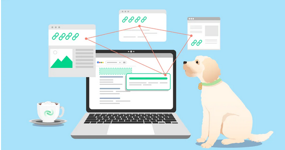 High DA PBN Links: A Gateway to Influencer Collaborations