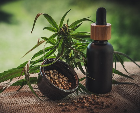 Dog cbd for Pain Management: Amplifying Relief and Recovery