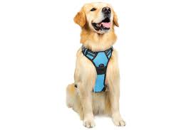 Step-by-Step Guide to Putting on a No-Pull Dog Harness