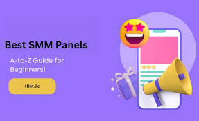 SMM Panel Integration: Connecting with Your Audience
