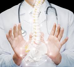 Best Orthopedic Doctor Tampa: Expert Solutions for Mobility